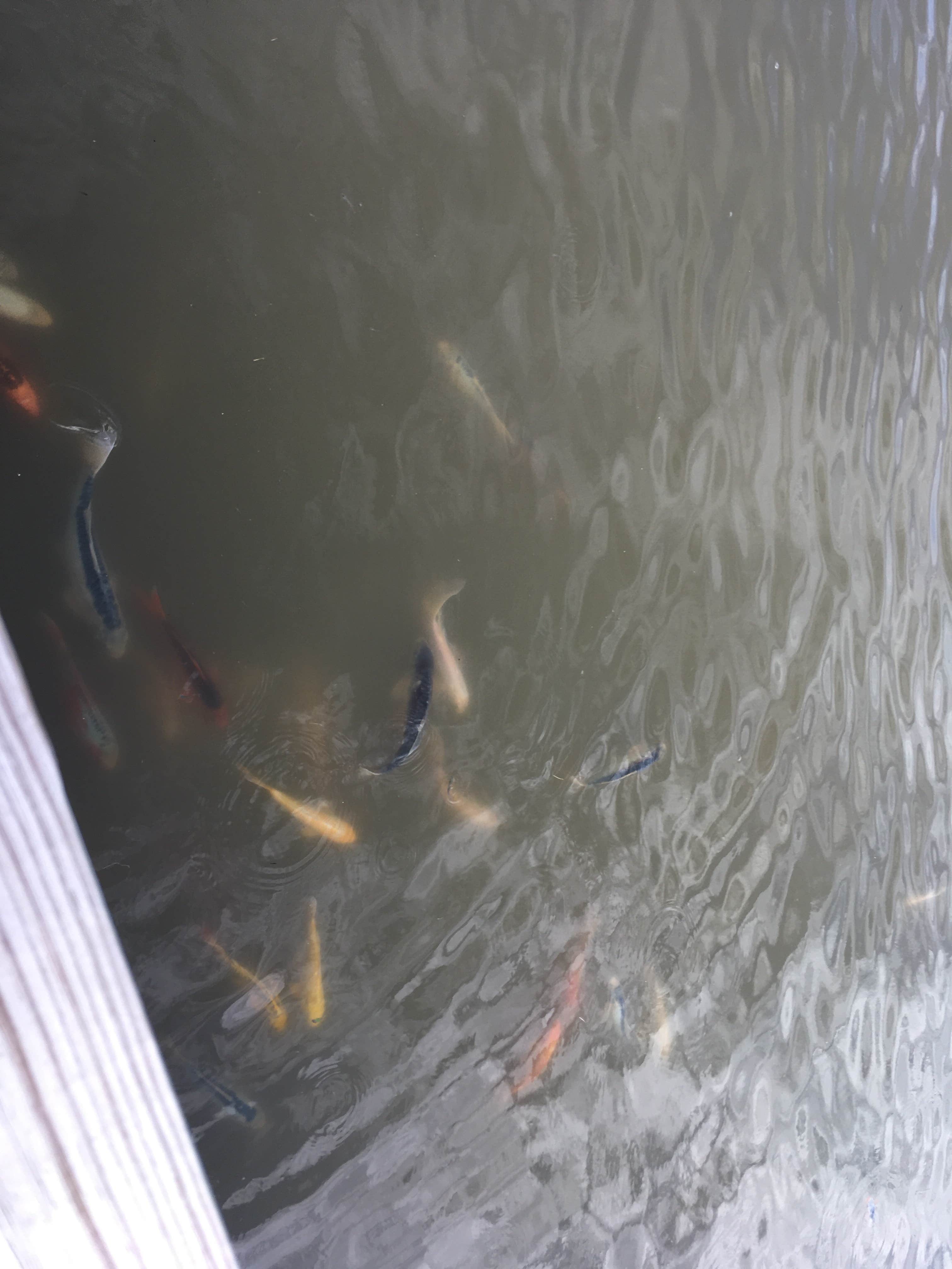 Red River Rose RV Resort | Ardmore, OK