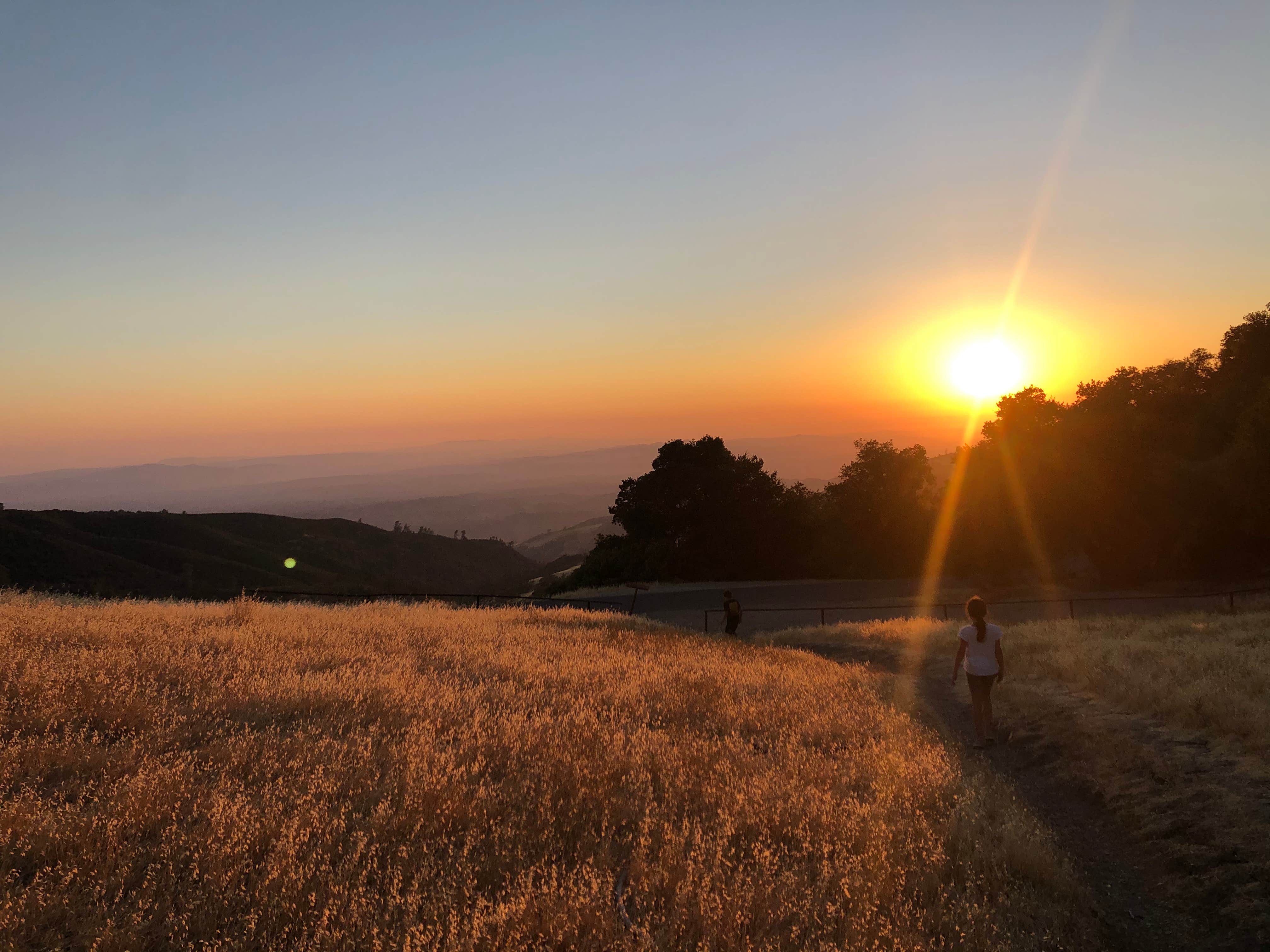 Camper submitted image from Mt. Figueroa Campground - 4