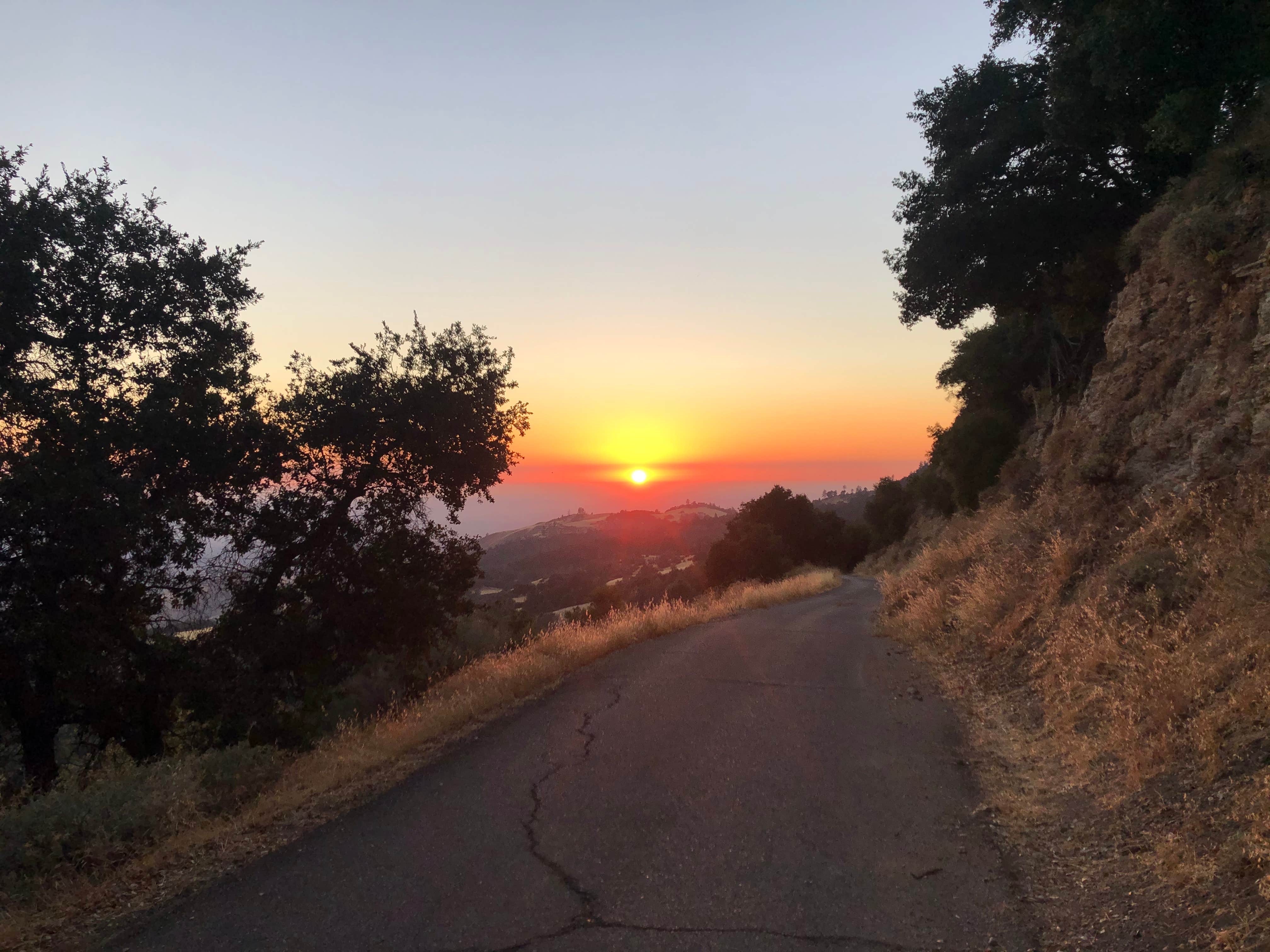 Camper-submitted photo at Mt. Figueroa Campground near New Cuyama, CA