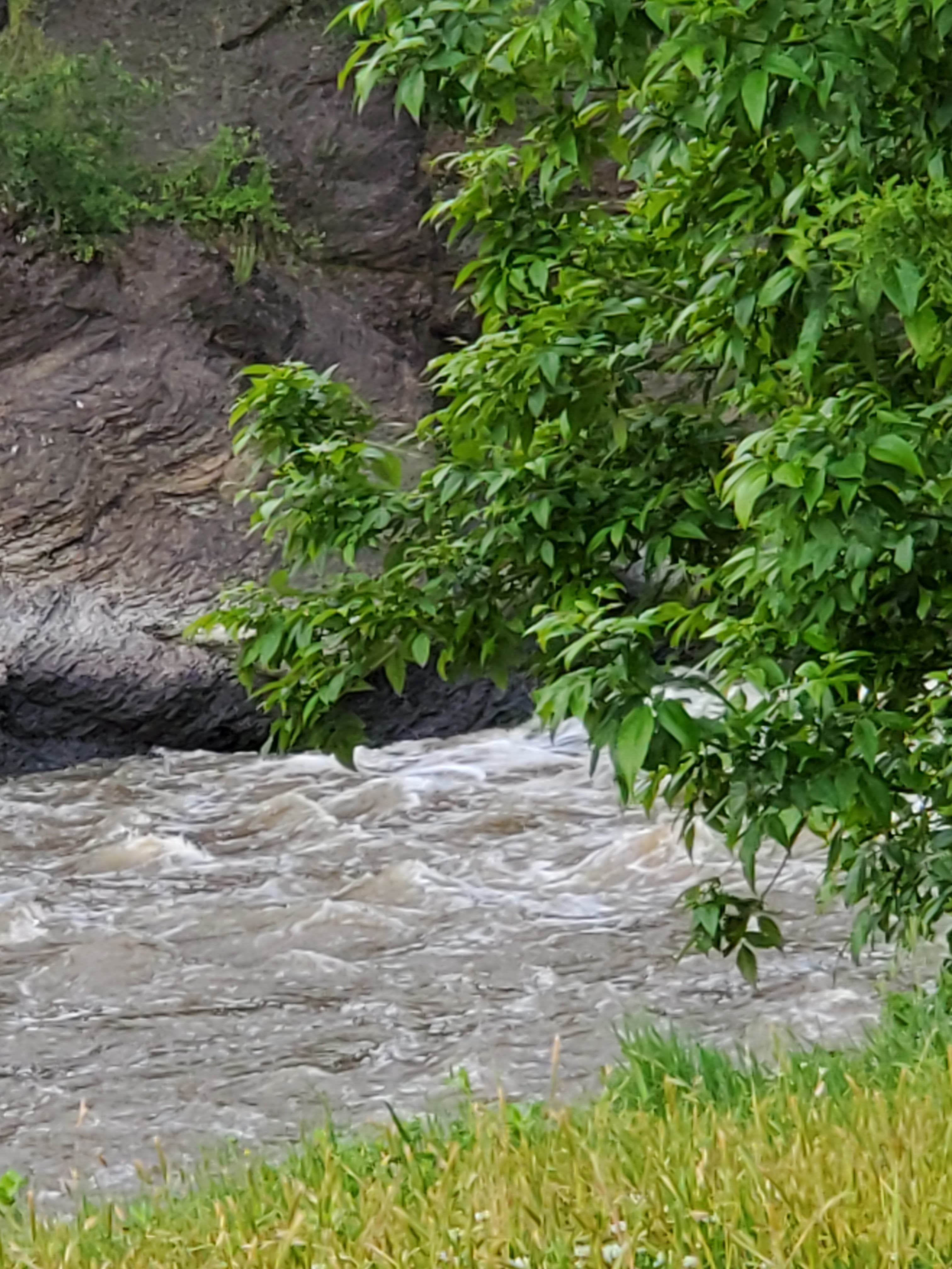 Camper-submitted photo at Quarry Island Campground — Lake Wister State Park near Hartford, AR