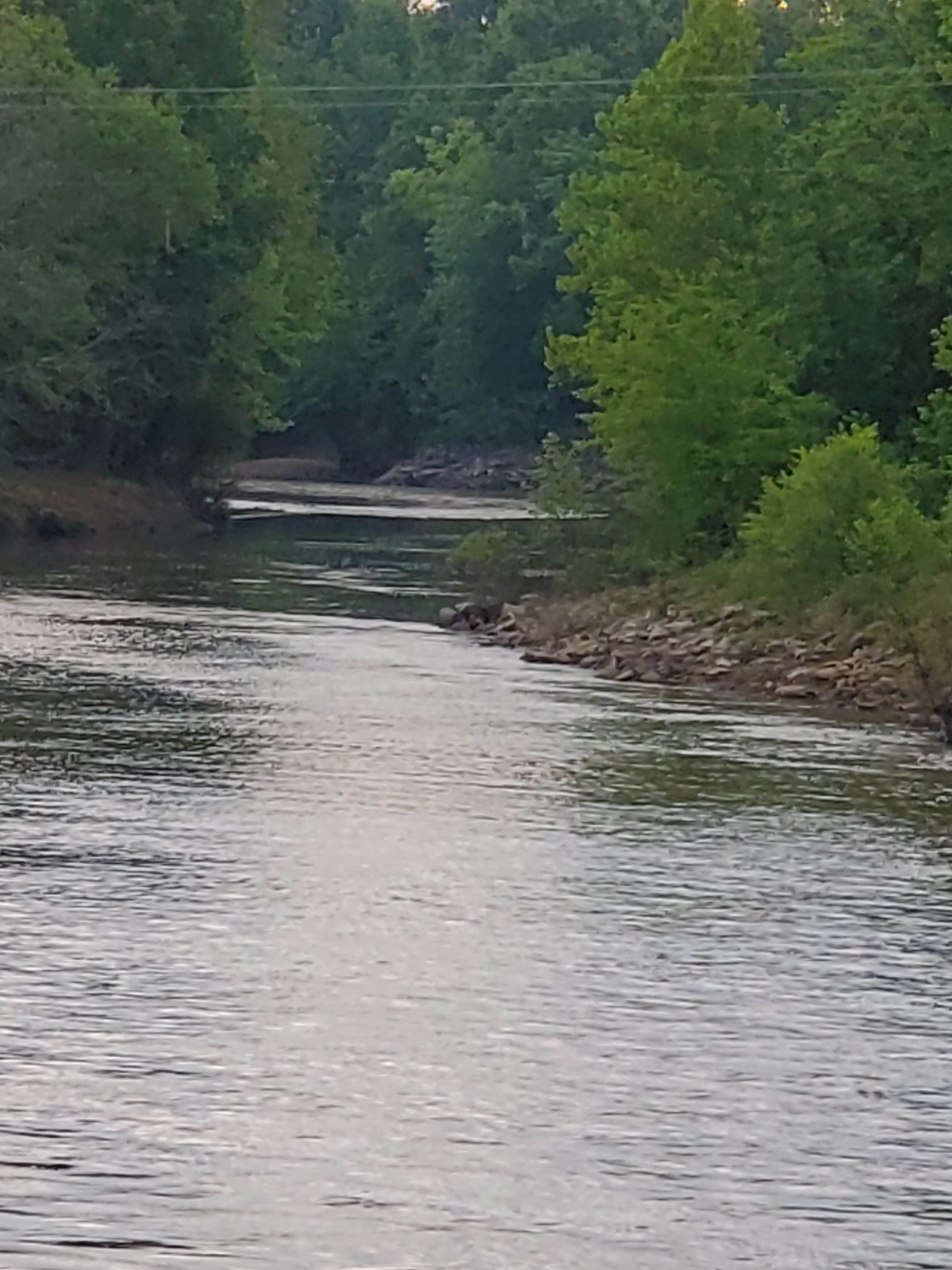 Camper-submitted photo at Quarry Island Campground — Lake Wister State Park near Hartford, AR