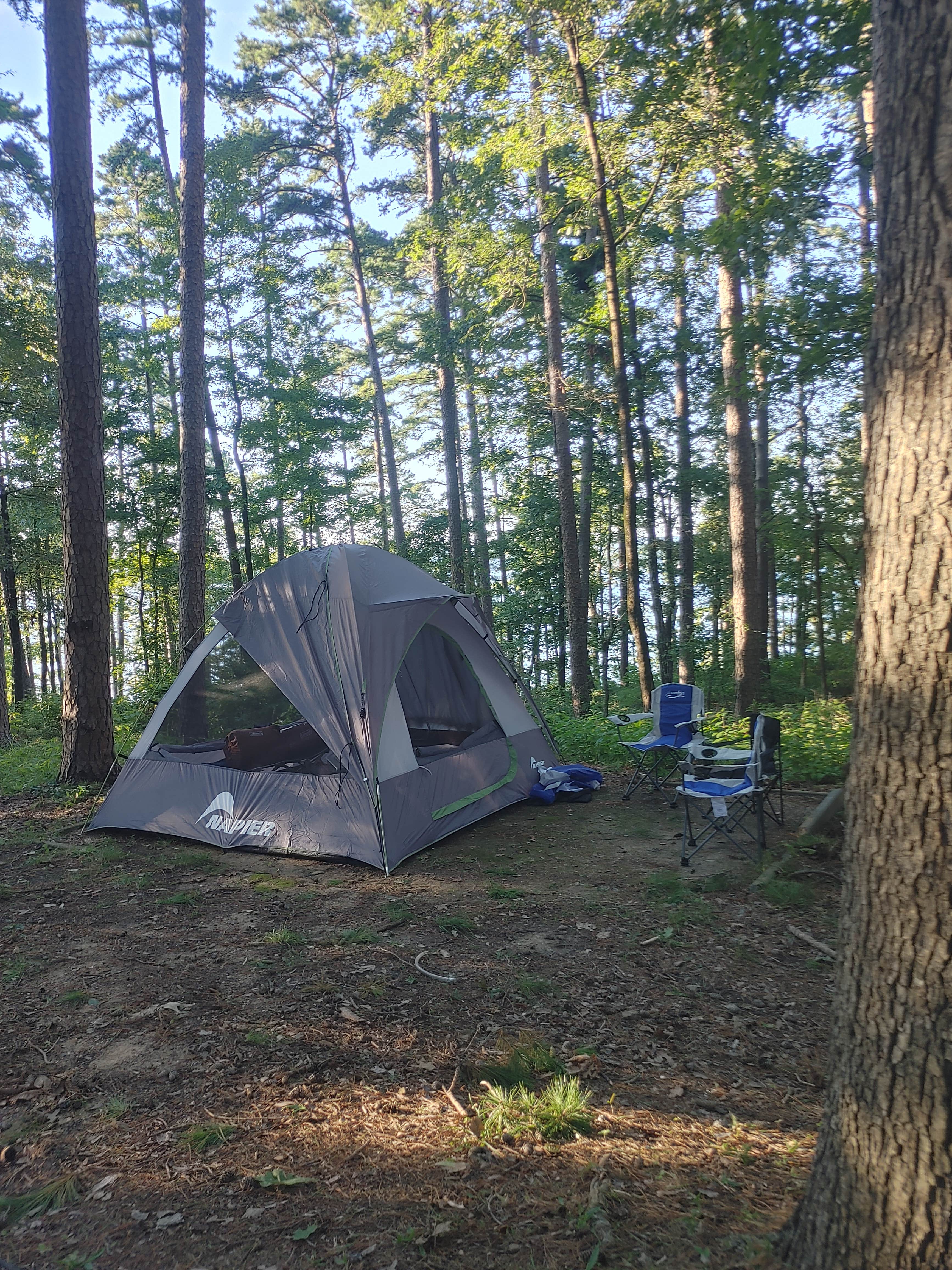 Camper submitted image from Caddo Drive - De Gray Lake - 4