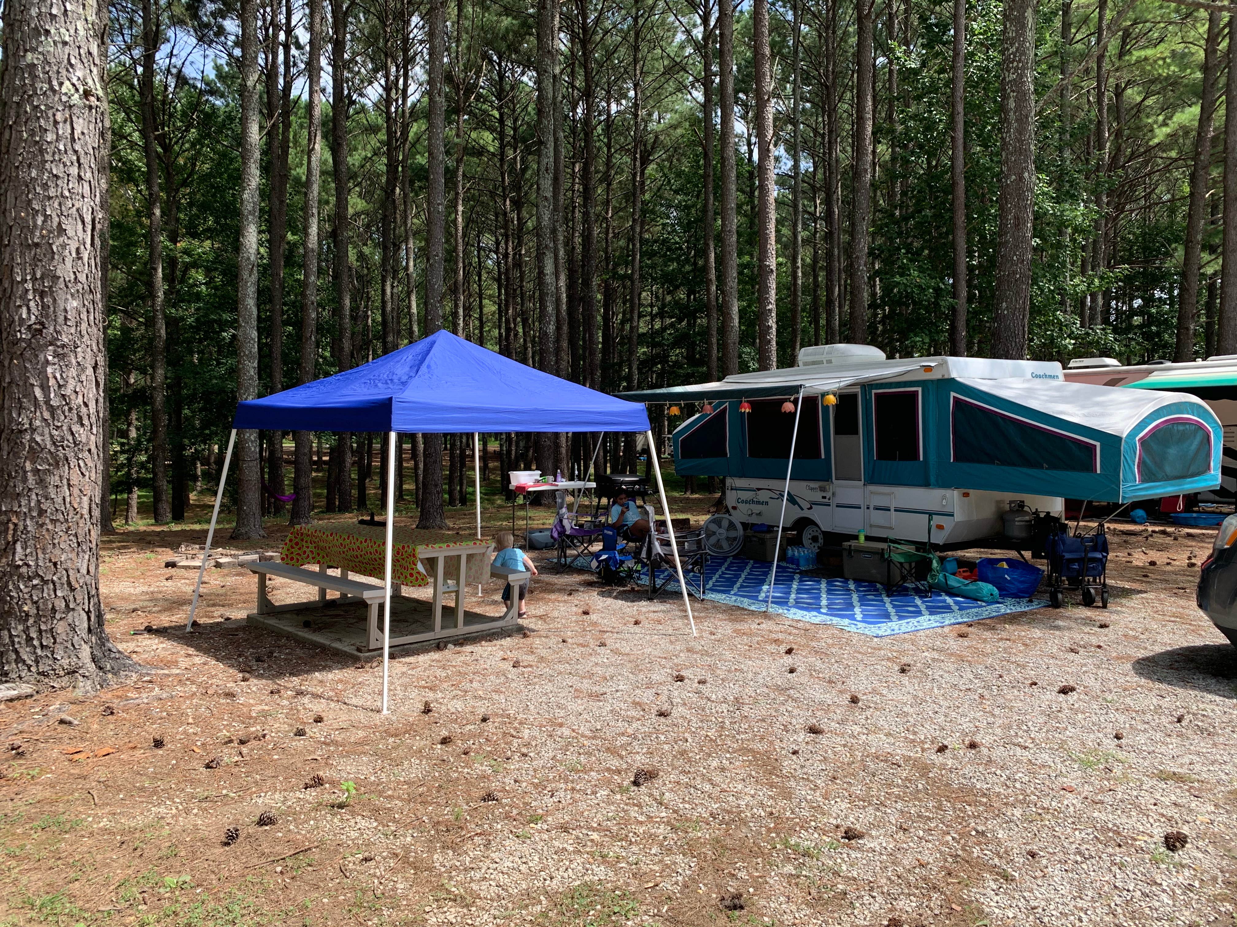 Camper-submitted photo at Twin Forks Campground near Natural Bridge, AL
