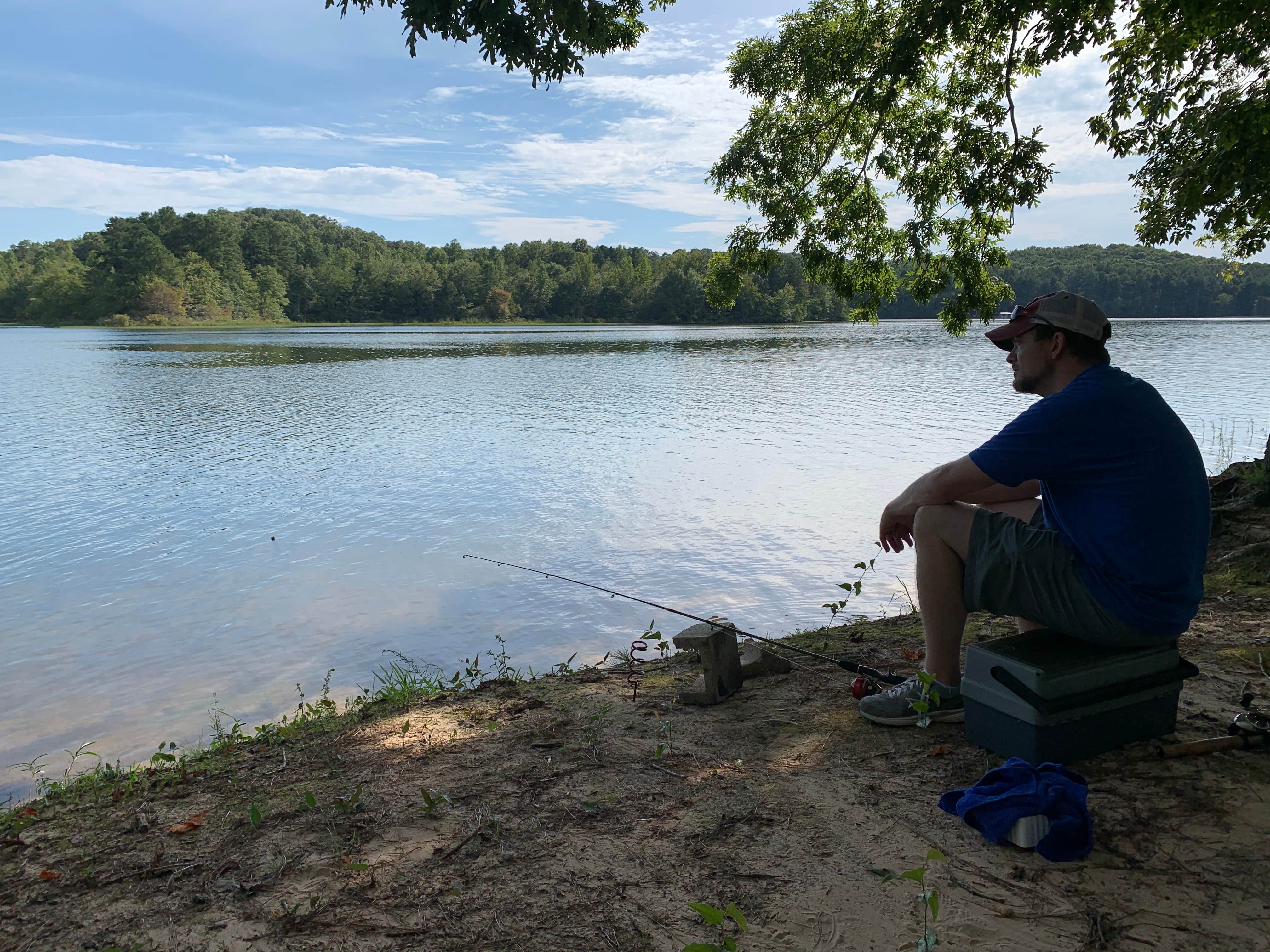Camper-submitted photo at Twin Forks Campground near Natural Bridge, AL