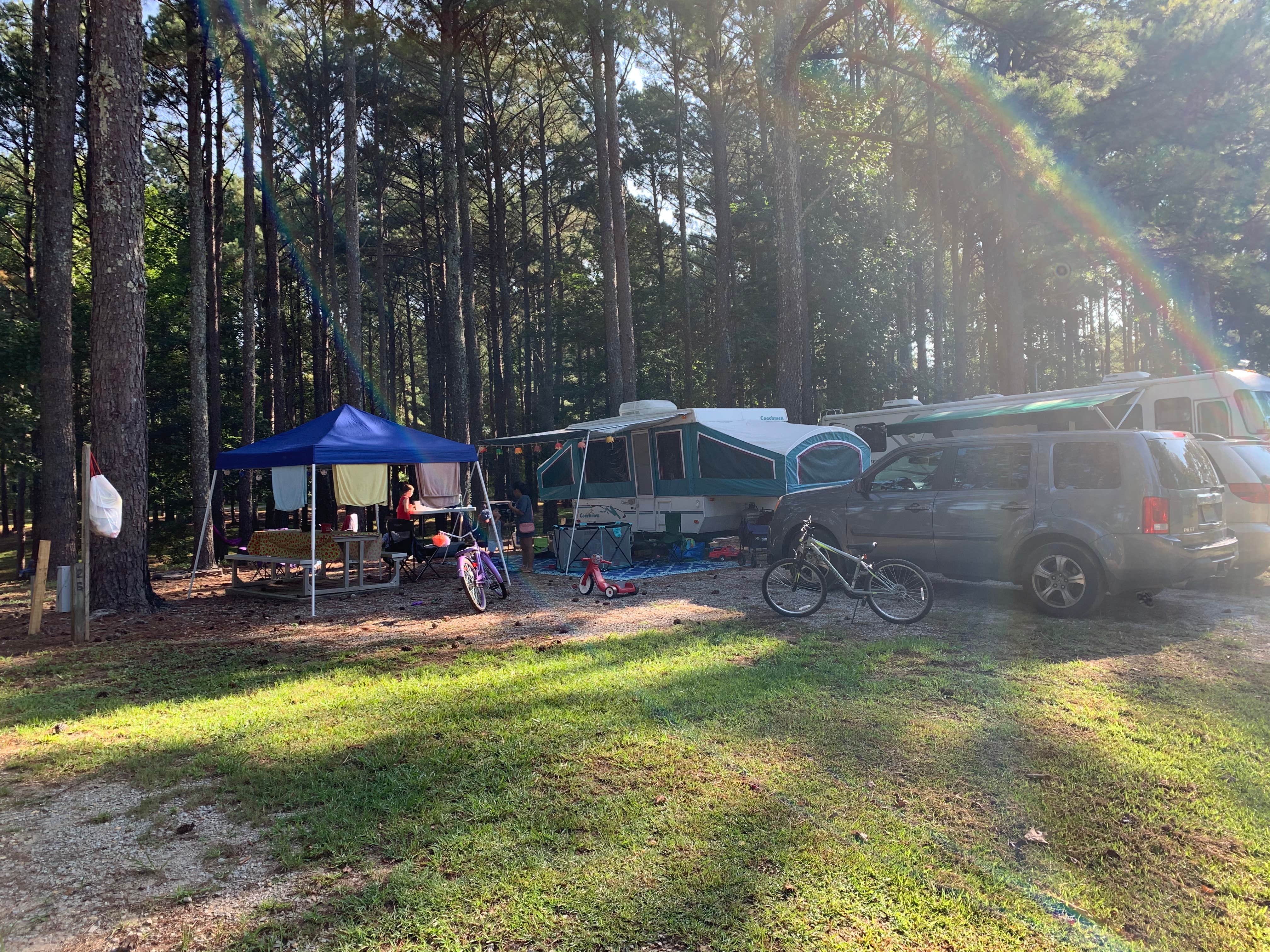 Camper-submitted photo at Twin Forks Campground near Natural Bridge, AL