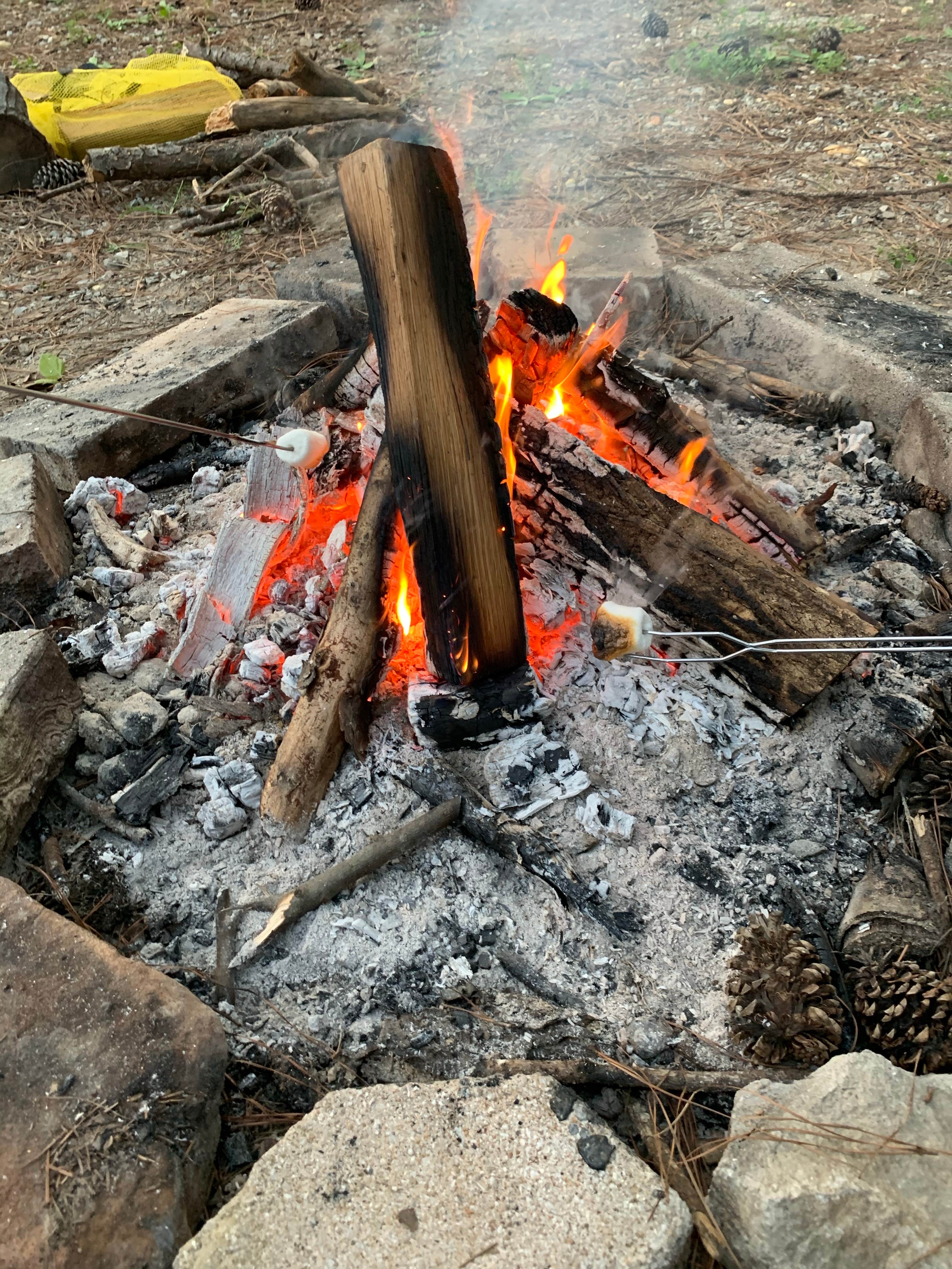 Camper-submitted photo at Twin Forks Campground near Natural Bridge, AL