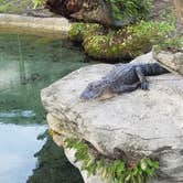 Review photo of Mill Creek RV Resort by J B., September 8, 2020