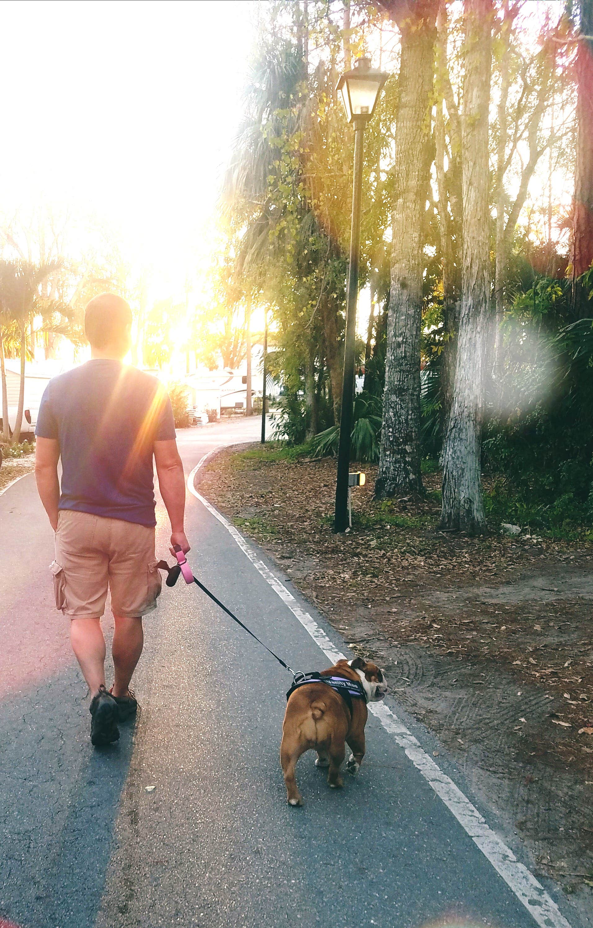 Camper-submitted photo at Marco Naples RV Resort near Big Cypress National Preserve