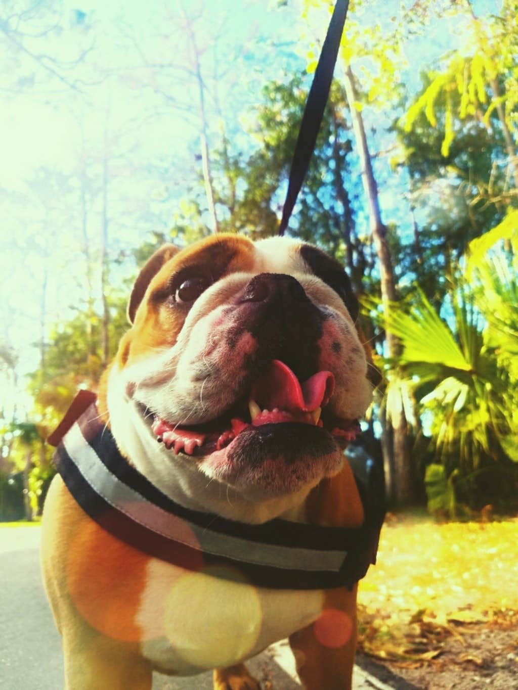 Camper-submitted photo at Marco Naples RV Resort near Big Cypress National Preserve