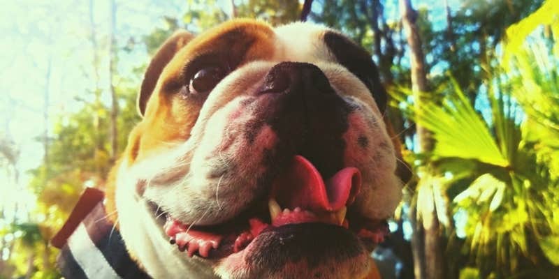 Camper submitted image from Marco Naples RV Resort