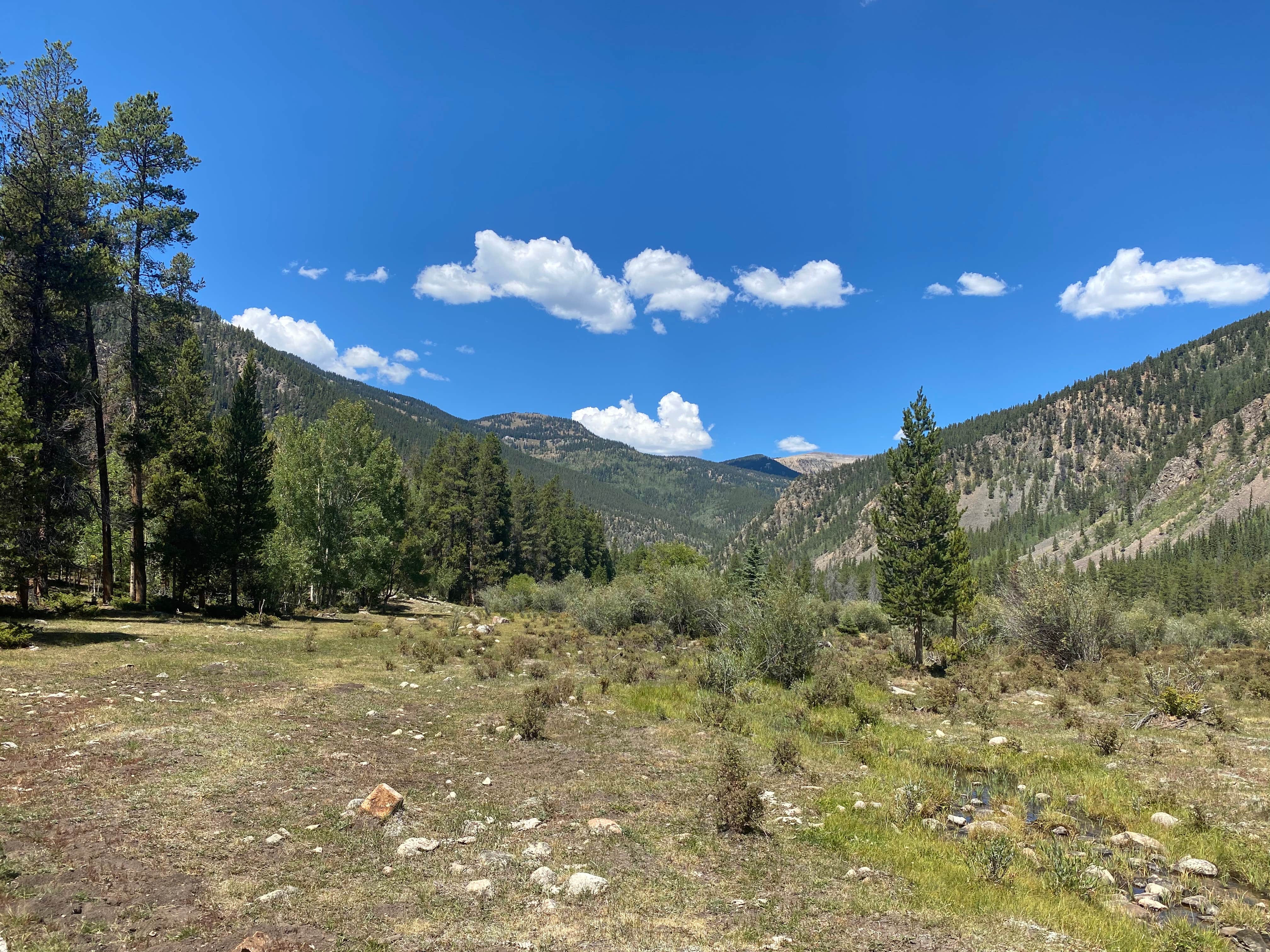 Camper-submitted photo at Lottis Creek Campground near Crested Butte, CO
