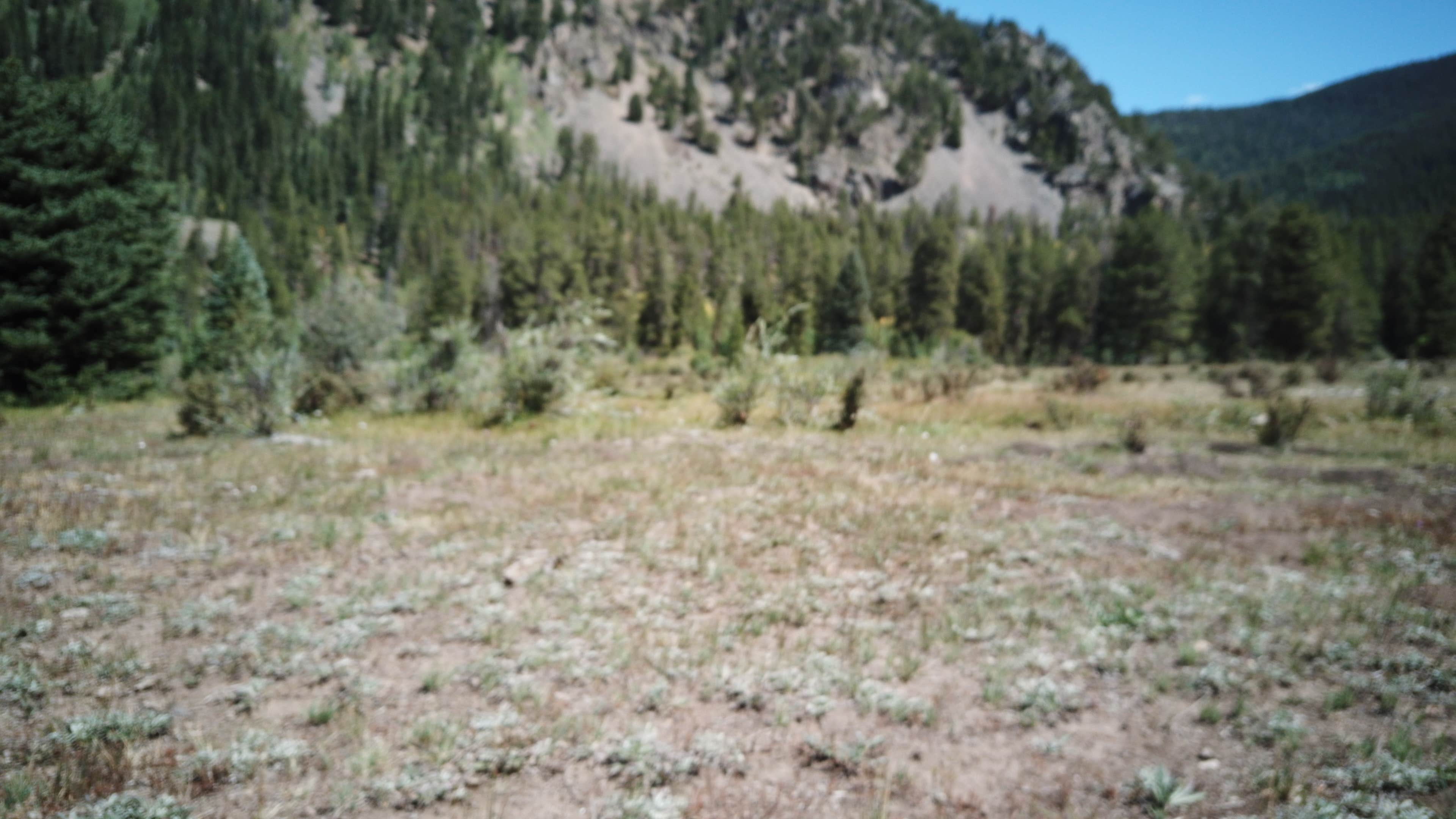 Lottis Creek Campground  The Dyrt