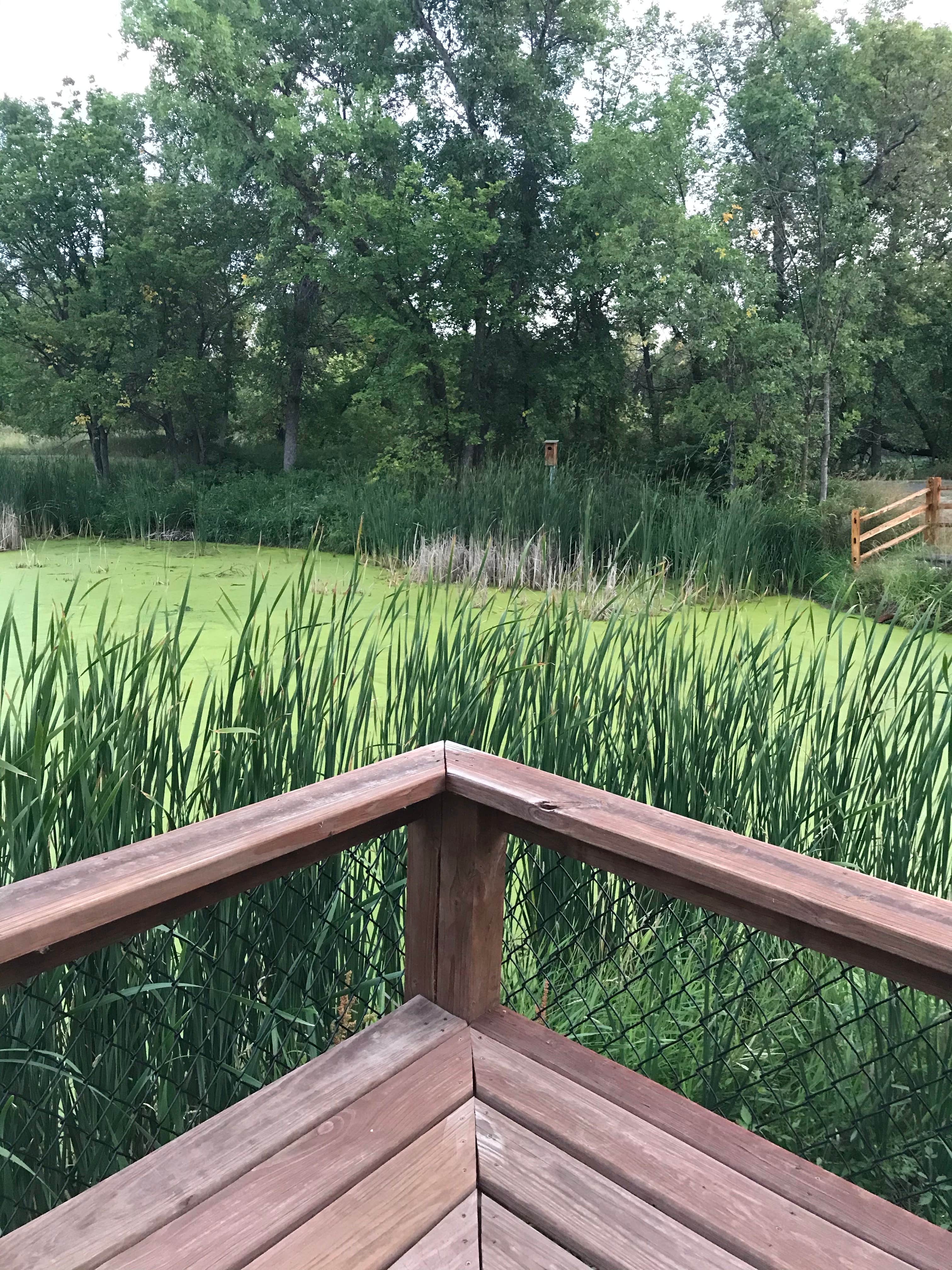 Camping near Berthold Cenex RV Park: Old Settlers Park, Minot, North Dakota