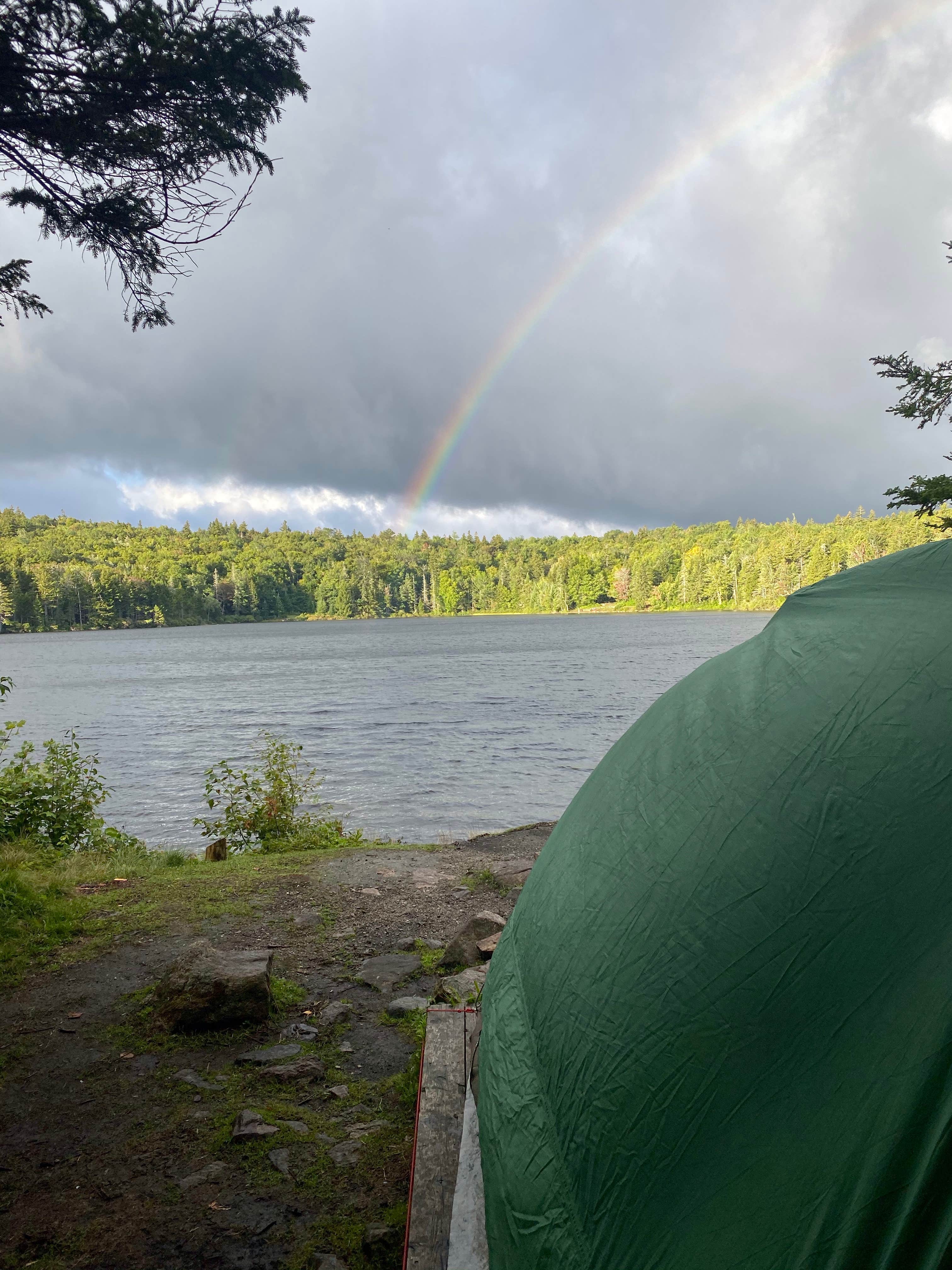 Camper submitted image from Grout Pond Campground — Green Mountain & Finger Lakes National Forests - 3