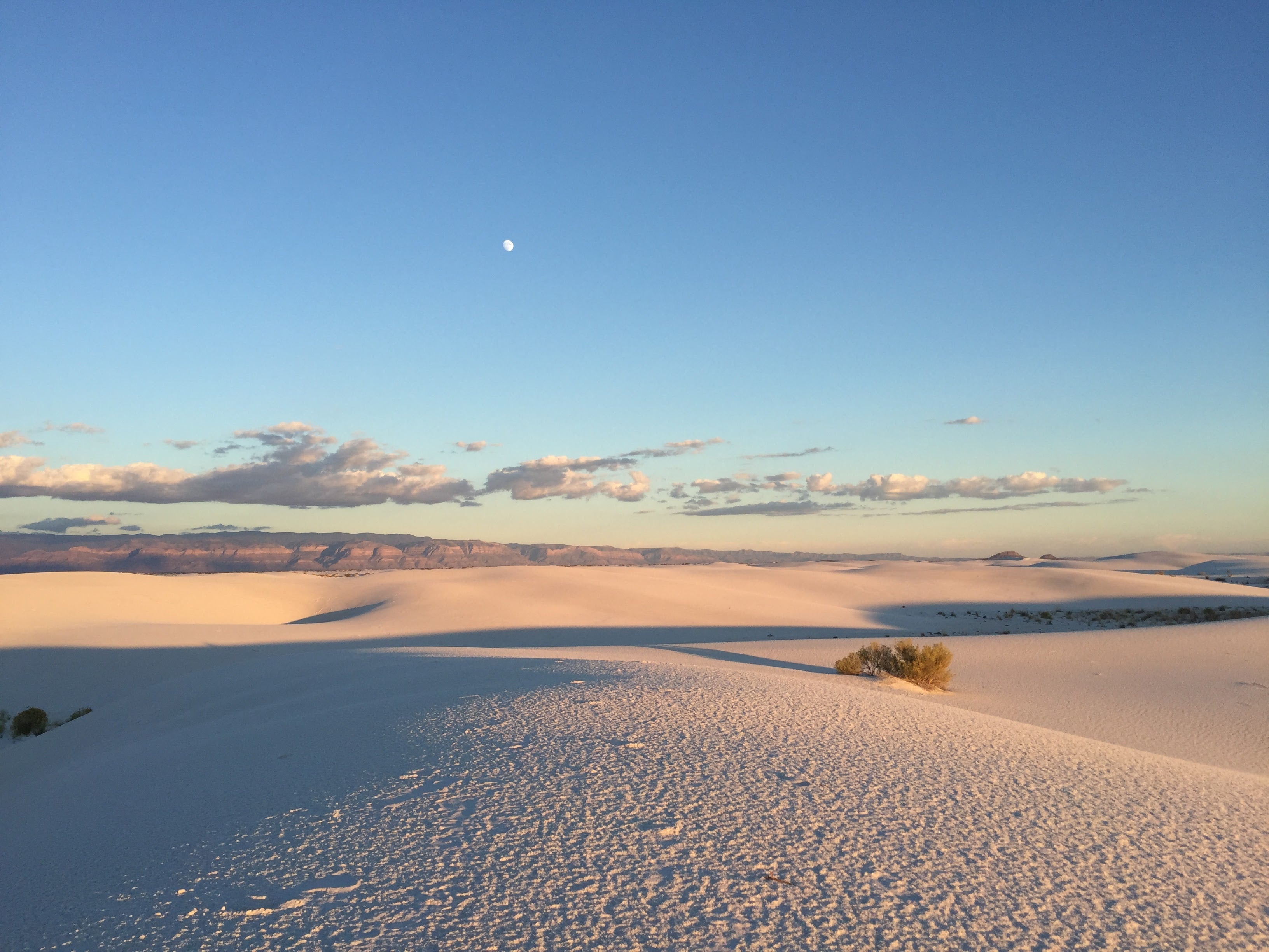 Camper submitted image from Backcountry Primitive Sites — White Sands National Park - 2