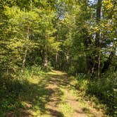 Review photo of Wild River State Park Campground by Kate T., September 8, 2020