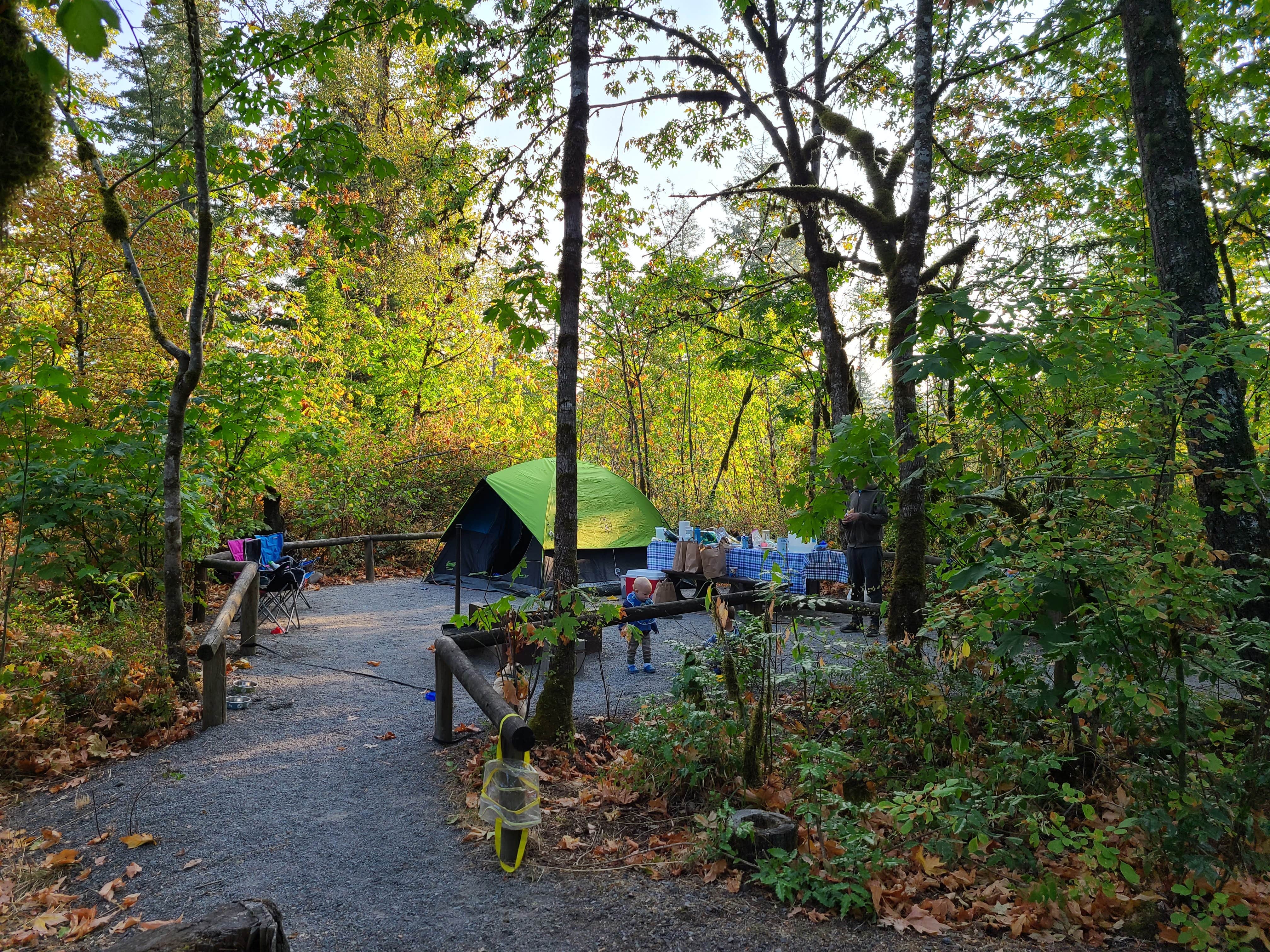 Camper submitted image from Fishermens Bend - TEMPORARILY CLOSED TO CAMPING - 1