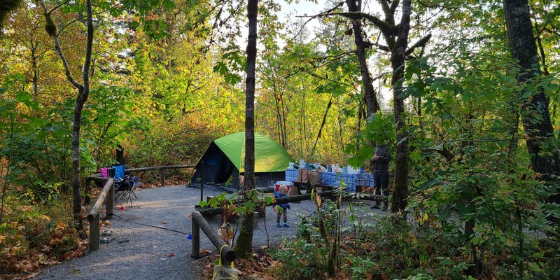 Camper submitted image from Fishermens Bend - TEMPORARILY CLOSED TO CAMPING