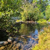 Review photo of Fishermens Bend - TEMPORARILY CLOSED TO CAMPING by Alli G., September 8, 2020