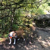 Review photo of Six Pines Campground — Backbone State Park by Katie J., September 8, 2020