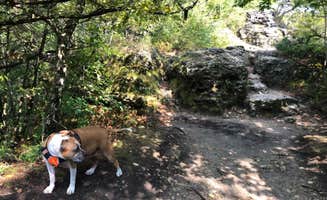 Katie J.'s photo of camping with pets at Six Pines Campground — Backbone State Park near Prairie du Chien, WI