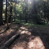 Review photo of Sylvania Wilderness Backcountry Camping by Jess R., September 8, 2020