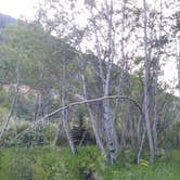 Review photo of Difficult Campground by Nikki M., September 8, 2020