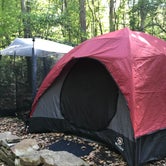 Review photo of Primitive Camping Area — Bald Eagle State Park by Chelsea H., September 8, 2020