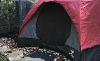 Chelsea H.'s photo at Primitive Camping Area — Bald Eagle State Park near Bellefonte, PA