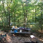 Review photo of Primitive Camping Area — Bald Eagle State Park by Chelsea H., September 8, 2020