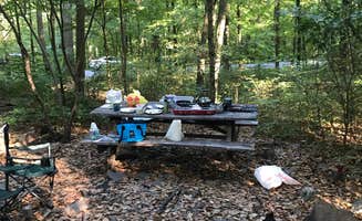 Chelsea H.'s photo at Primitive Camping Area — Bald Eagle State Park near Mill Hall, PA