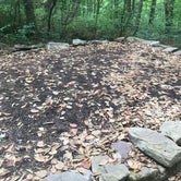 Review photo of Primitive Camping Area — Bald Eagle State Park by Chelsea H., September 8, 2020