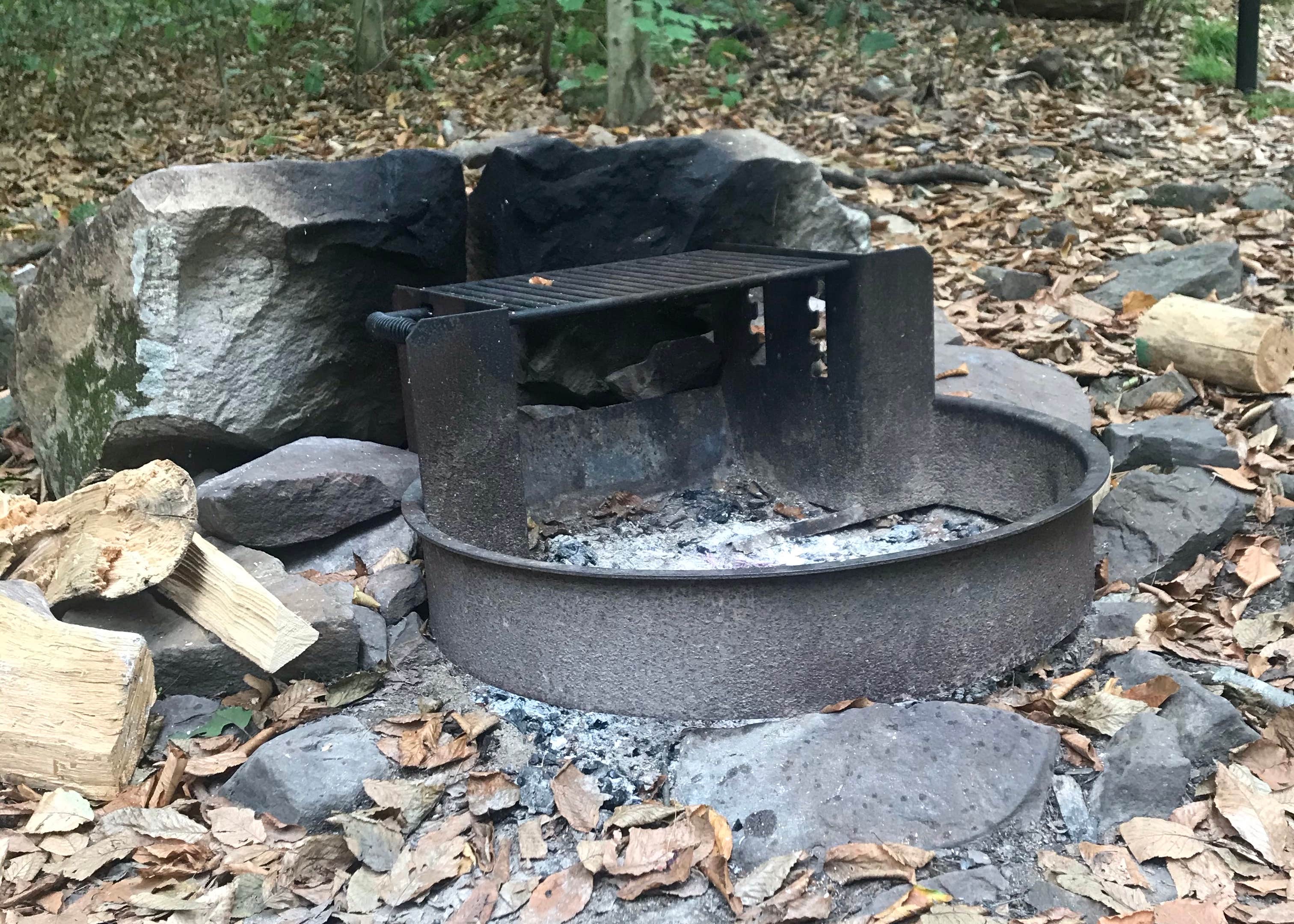 Bald Eagle State Park Primitive Campsite Camping | The Dyrt