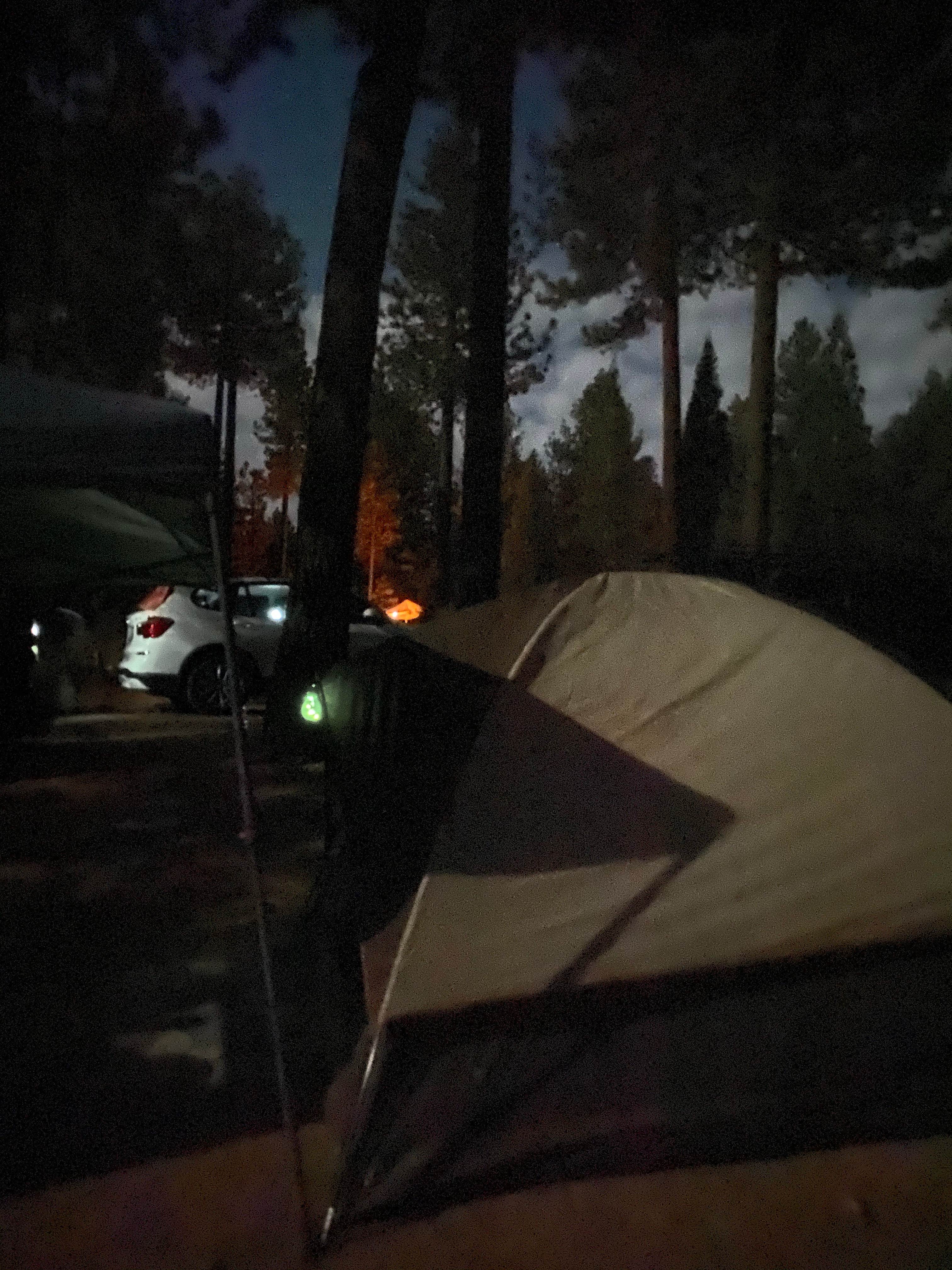 Tammy C.'s photo at Mcgill Campground And Group Campground near Maricopa, CA