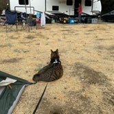 Review photo of Malibu Creek State Park Campground by Tammy C., September 8, 2020