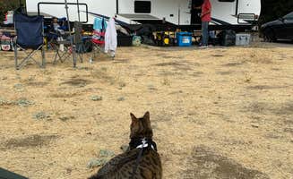 Tammy C.'s photo at Malibu Creek State Park Campground near Thousand Oaks, CA