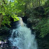 Review photo of Ricketts Glen State Park Campground by Gary O., September 8, 2020