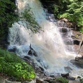 Review photo of Ricketts Glen State Park Campground by Gary O., September 8, 2020