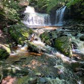 Review photo of Ricketts Glen State Park Campground by Gary O., September 8, 2020