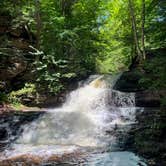 Review photo of Ricketts Glen State Park Campground by Gary O., September 8, 2020