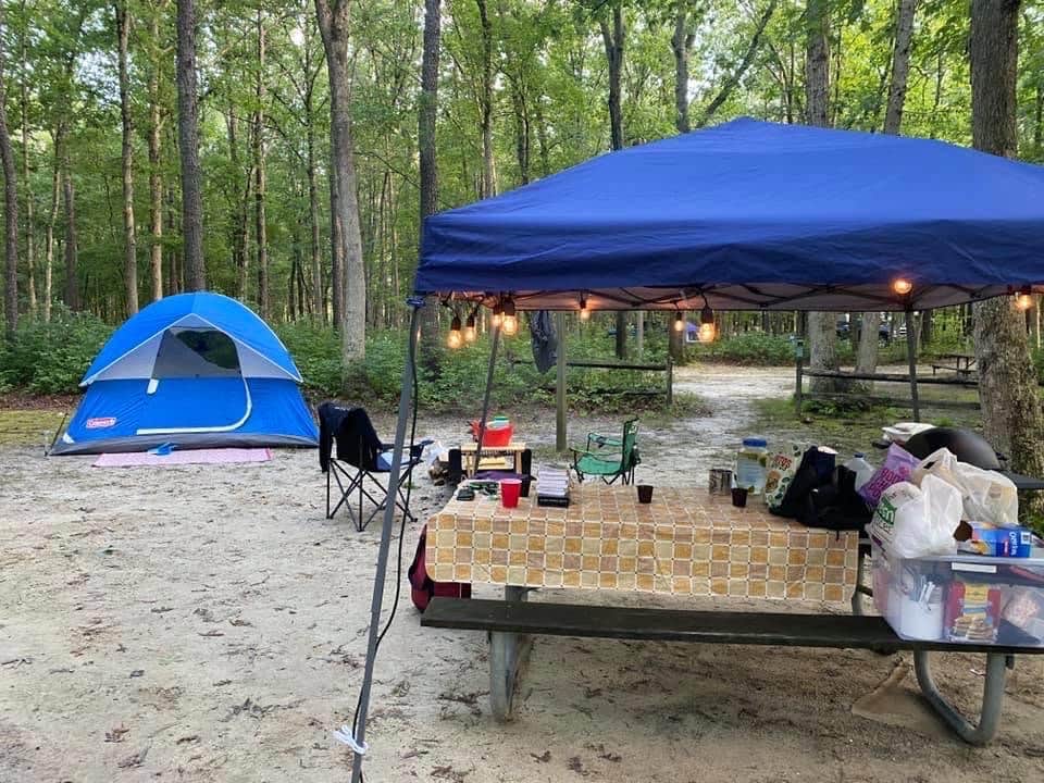 Kelly L.'s photo at Turkey Swamp Park near New Brunswick, NJ