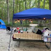 Review photo of Turkey Swamp Park by Kelly L., September 8, 2020