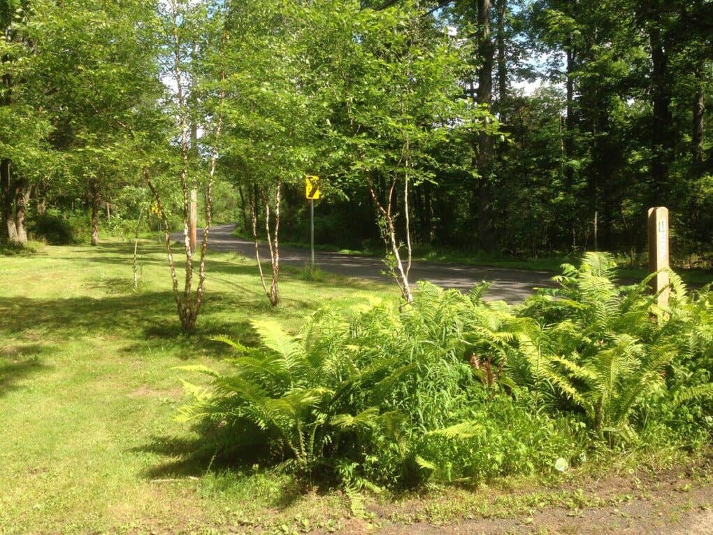Camper-submitted photo at Boulder Ridge Farm near Blandon, PA