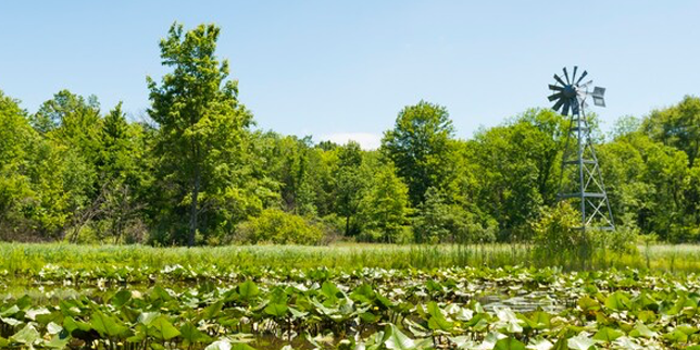 Camper submitted image from Boulder Ridge Farm