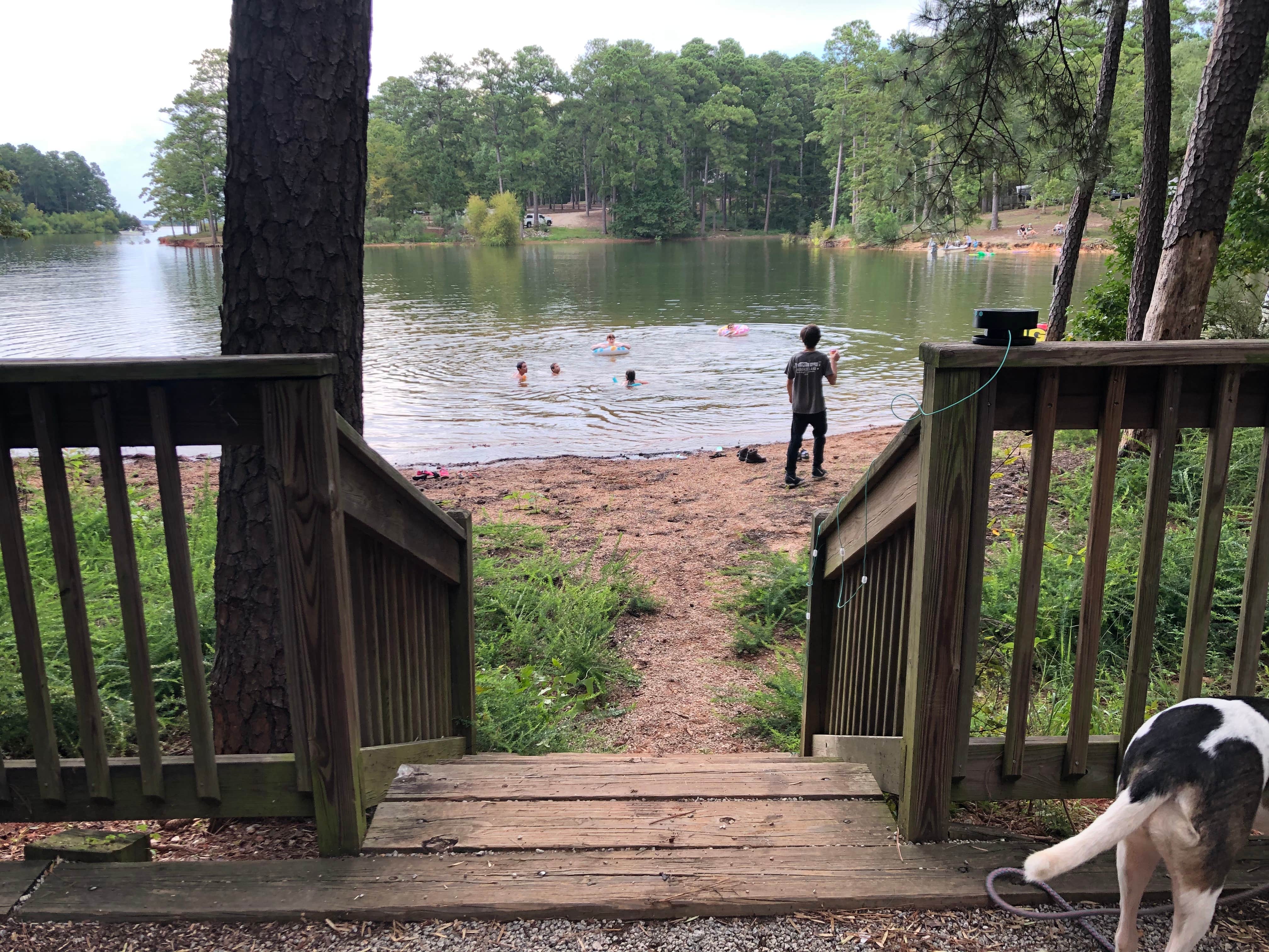 Sonyia W.'s photo of camping with pets at Mistletoe State Park Campground near J. Strom Thurmond Lake