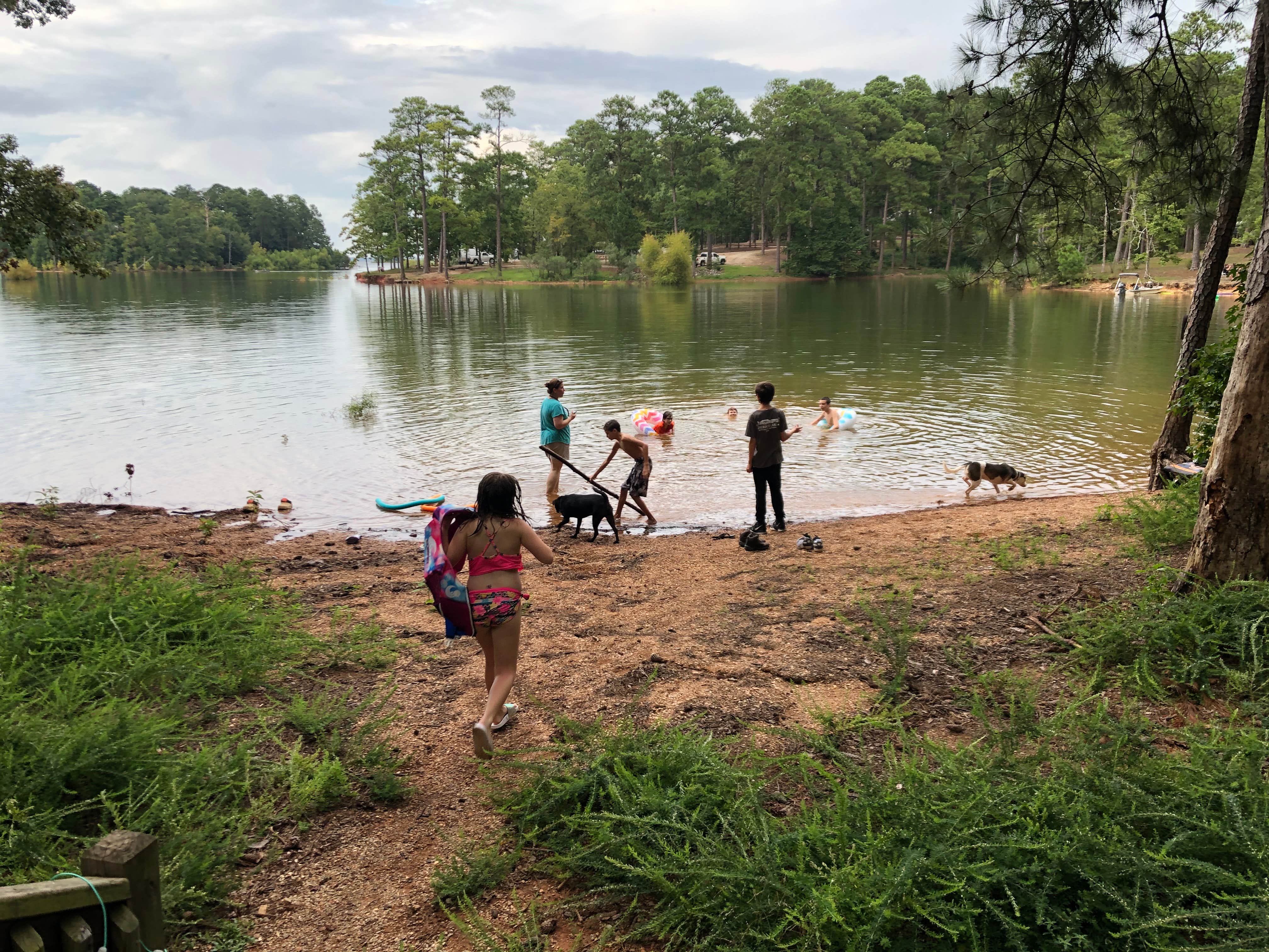 Sonyia W.'s photo of camping with pets at Mistletoe State Park Campground near Calhoun Falls, SC