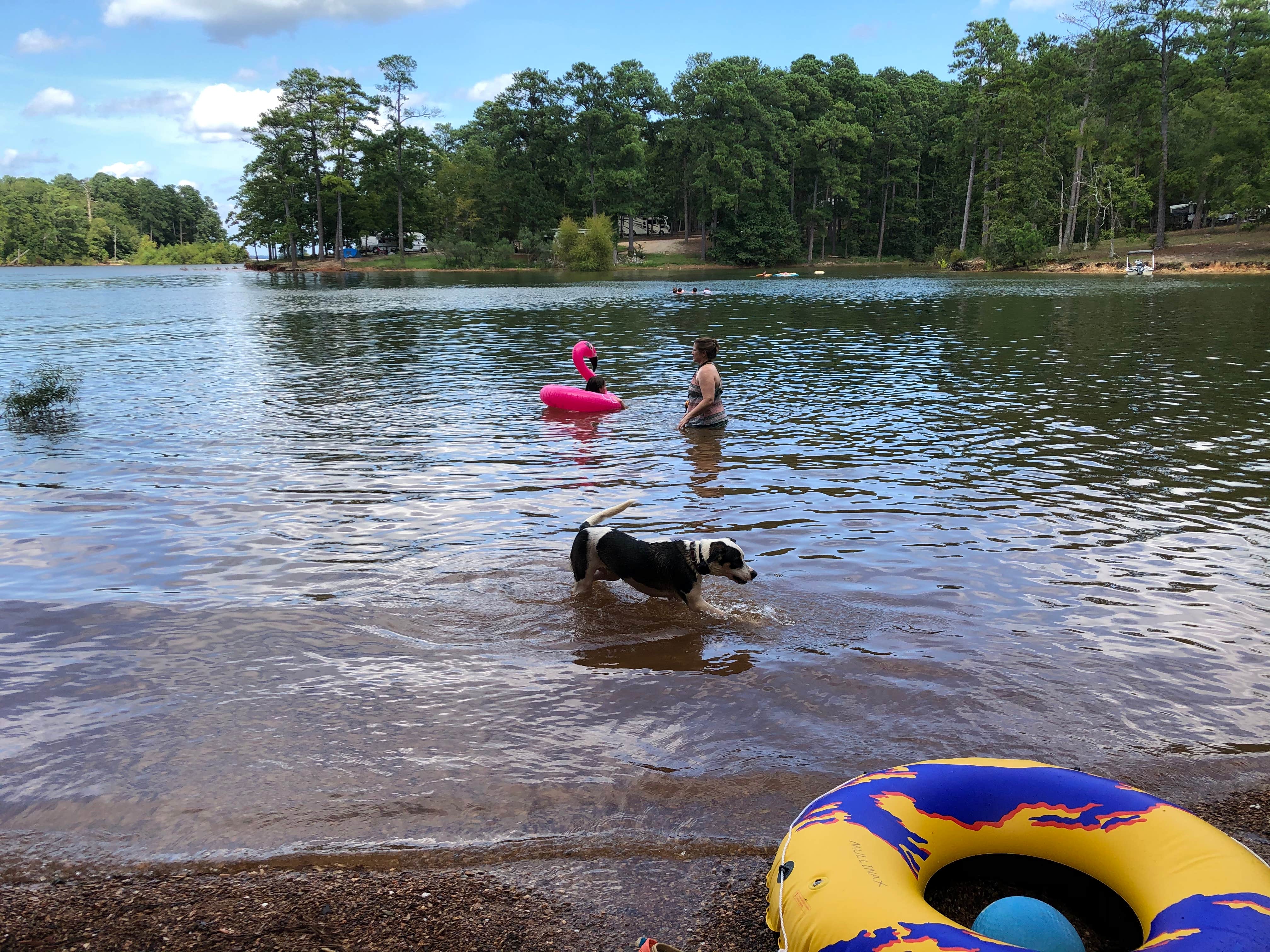 Sonyia W.'s photo of camping with pets at Mistletoe State Park Campground near Aiken, SC