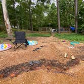 Review photo of Mistletoe State Park Campground by Sonyia W., September 8, 2020