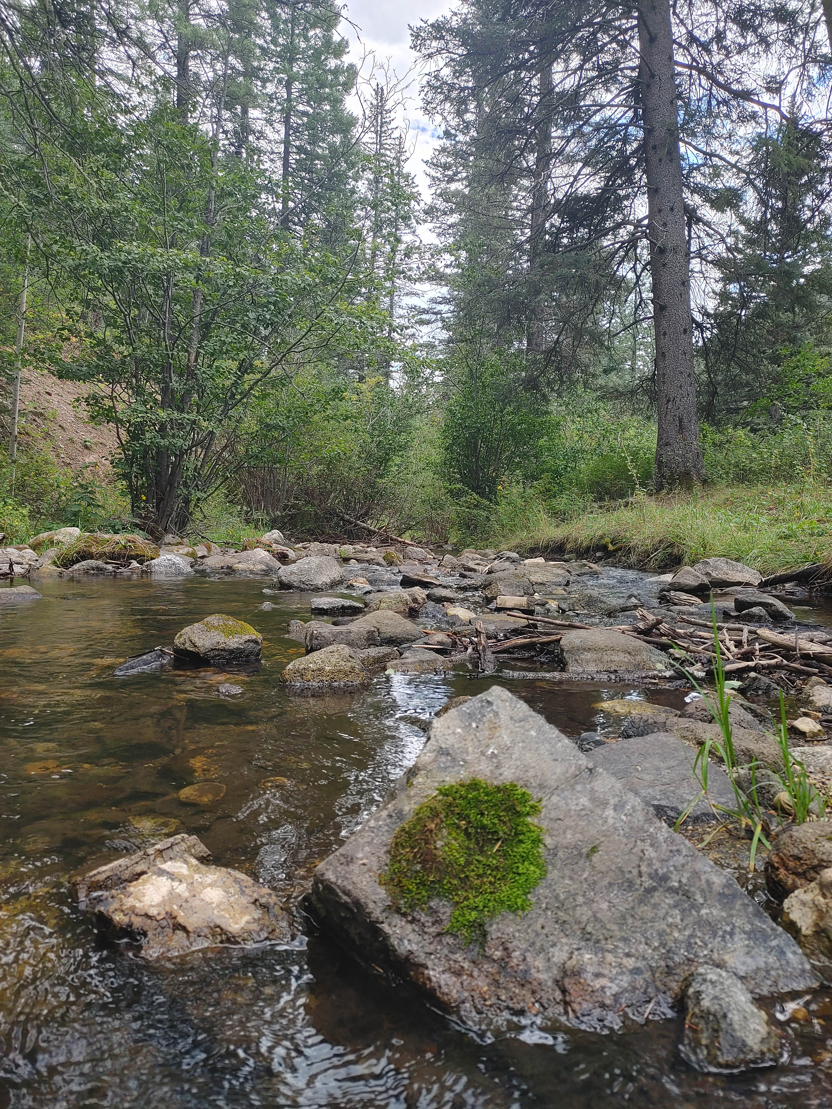 Camper-submitted photo at Holy Ghost Campground near Las Vegas, NM