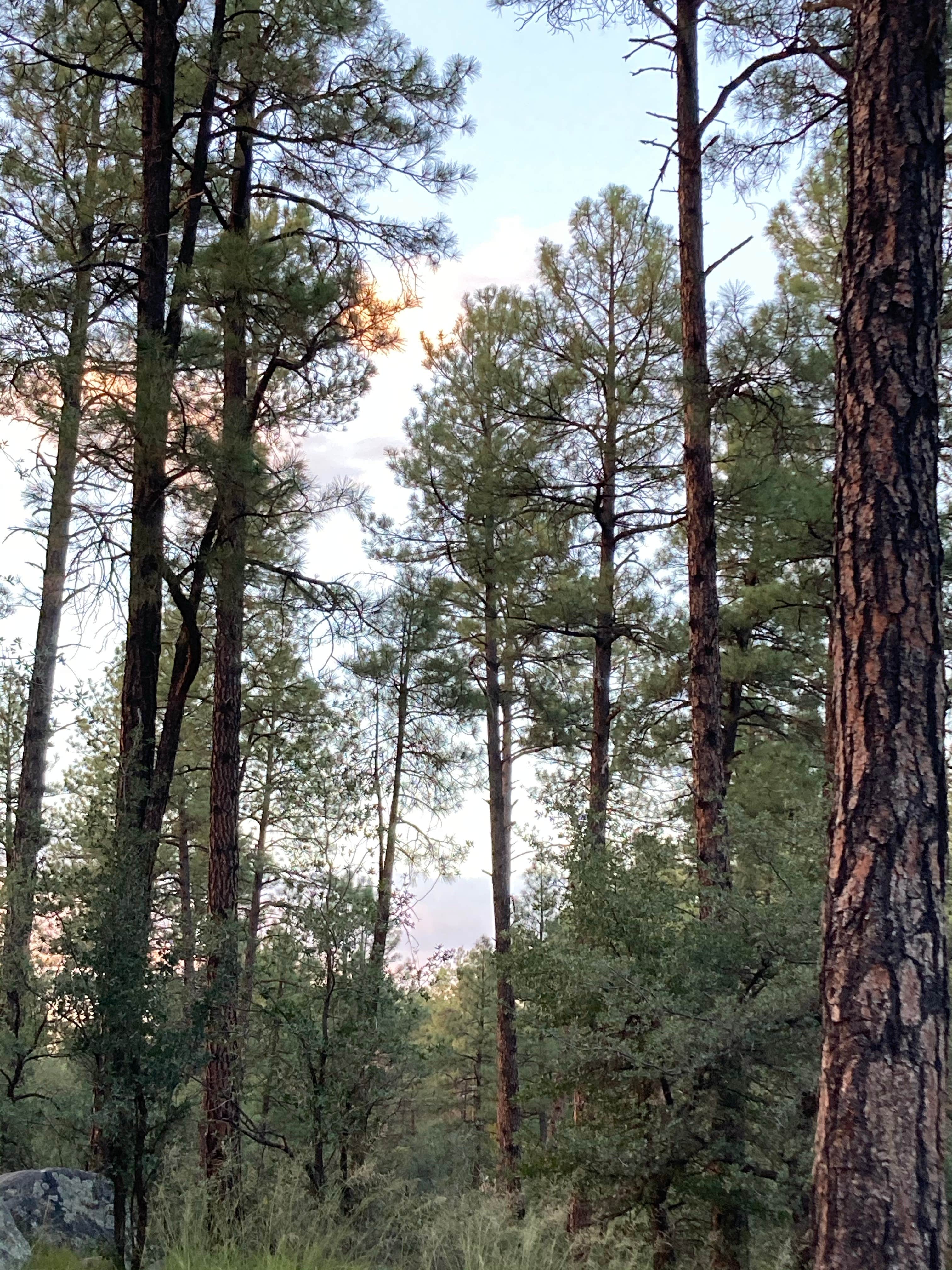 Prescott - Photo 3